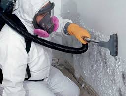 Best Environmental Consulting for Mold Prevention in Snowmass Village, CO